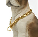 Coleira Guardião Dourado para Cães