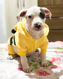 Macacão Para Pets