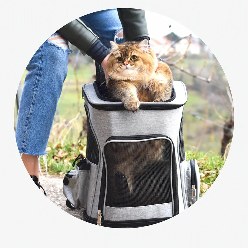 Bolsa de Transporte Expansível para Gatos