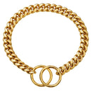 Coleira Guardião Dourado para Cães