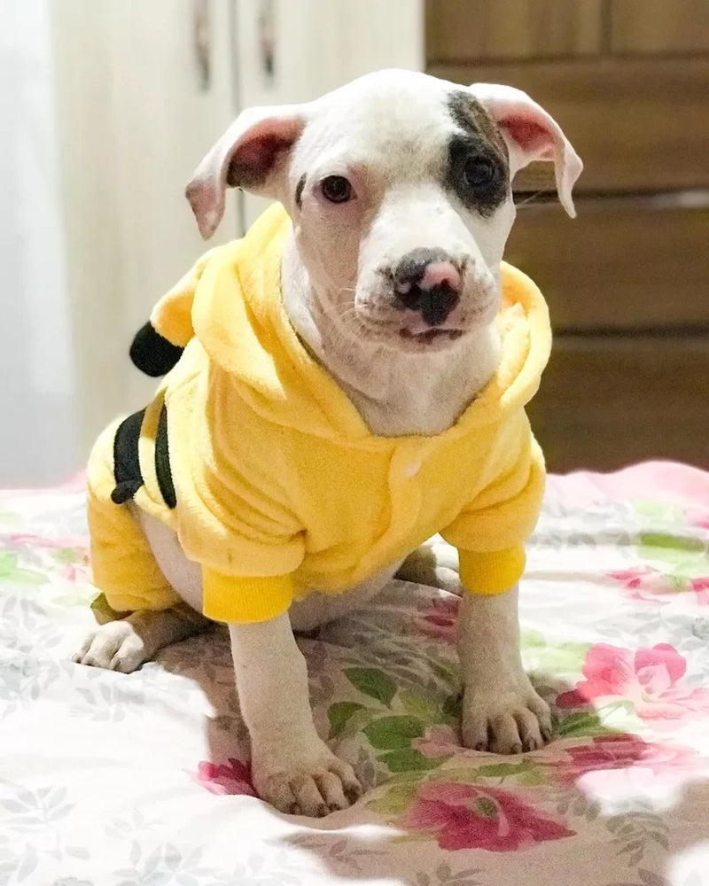 Macacão Para Pets