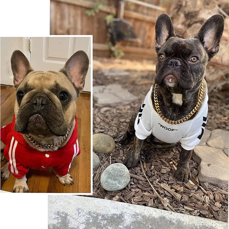 Coleira Guardião Dourado para Cães